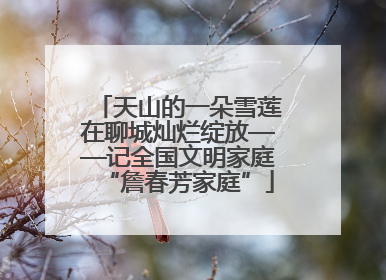 天山的一朵雪莲在聊城灿烂绽放——记全国文明家庭“詹春芳家庭”