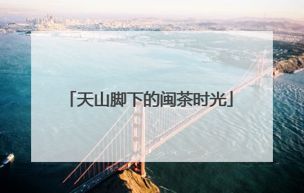 天山脚下的闽茶时光