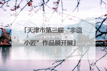 天津市第三届“非遗小匠”作品展开展