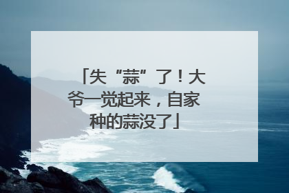 失“蒜”了！大爷一觉起来，自家种的蒜没了