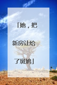 她，把新房让给了斑鸠