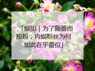 娱见｜为了撕番而脱粉，内娱粉丝为何如此在乎番位
