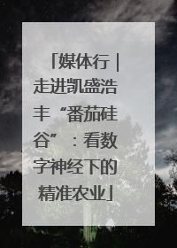 媒体行｜走进凯盛浩丰“番茄硅谷”：看数字神经下的精准农业