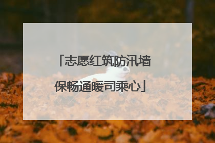 志愿红筑防汛墙 保畅通暖司乘心