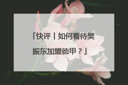 快评丨如何看待樊振东加盟德甲？