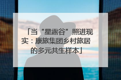 当“星露谷”照进现实：康旅集团乡村旅居的多元共生样本