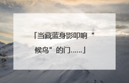 当藏蓝身影叩响“候鸟”的门……