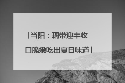 当阳：藕带迎丰收 一口脆嫩吃出夏日味道