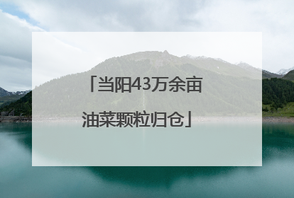 当阳43万余亩油菜颗粒归仓