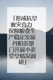 形成抗旱救灾合力 保障粮食生产稳定发展 丹阳多部门开展小麦受旱情况调研