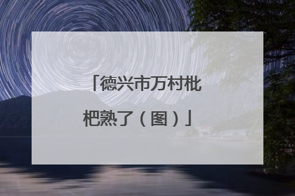 德兴市万村枇杷熟了（图）