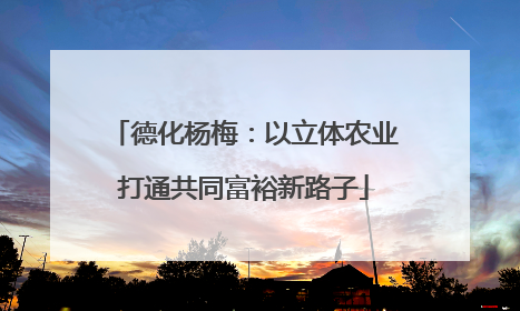 德化杨梅：以立体农业打通共同富裕新路子