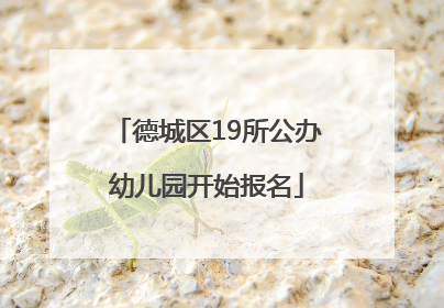 德城区19所公办幼儿园开始报名