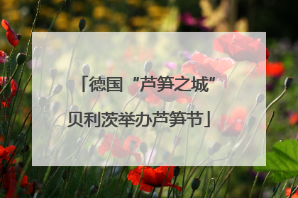 德国“芦笋之城”贝利茨举办芦笋节