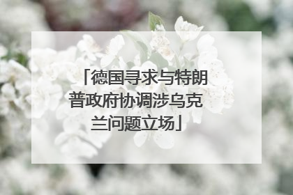 德国寻求与特朗普政府协调涉乌克兰问题立场