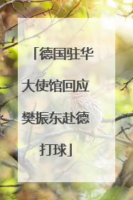 德国驻华大使馆回应樊振东赴德打球