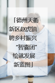 德州天衢新区赵虎镇聘乡村振兴“智囊团” 绘就发展新蓝图