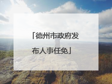德州市政府发布人事任免