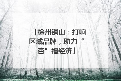 徐州铜山：打响区域品牌，助力“杏”福经济
