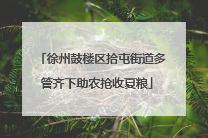 徐州鼓楼区拾屯街道多管齐下助农抢收夏粮