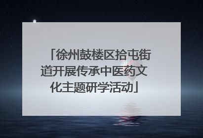 徐州鼓楼区拾屯街道开展传承中医药文化主题研学活动