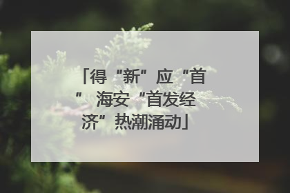 得“新”应“首” 海安“首发经济”热潮涌动