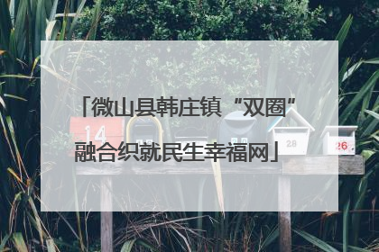 微山县韩庄镇“双圈”融合织就民生幸福网