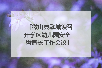 微山县驩城镇召开学区幼儿园安全暨园长工作会议