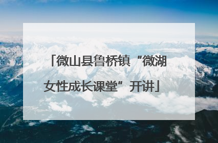微山县鲁桥镇“微湖女性成长课堂”开讲