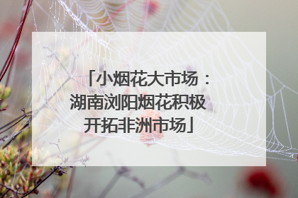 小烟花大市场：湖南浏阳烟花积极开拓非洲市场