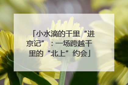 小水滴的千里“进京记”：一场跨越千里的“北上”约会