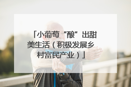 小葡萄“酿”出甜美生活（积极发展乡村富民产业）