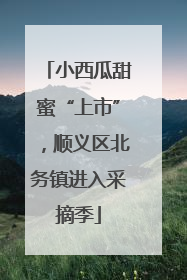 小西瓜甜蜜“上市”，顺义区北务镇进入采摘季