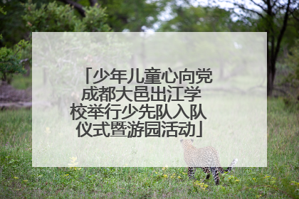 少年儿童心向党 成都大邑出江学校举行少先队入队仪式暨游园活动