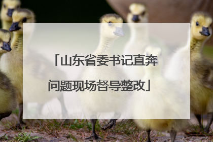 山东省委书记直奔问题现场督导整改