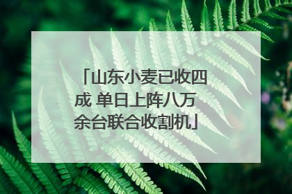 山东小麦已收四成 单日上阵八万余台联合收割机