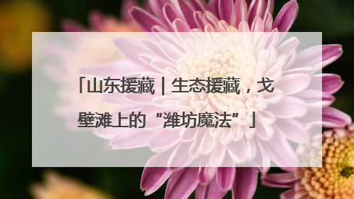 山东援藏｜生态援藏，戈壁滩上的“潍坊魔法”