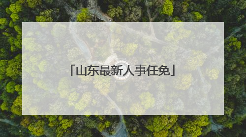 山东最新人事任免