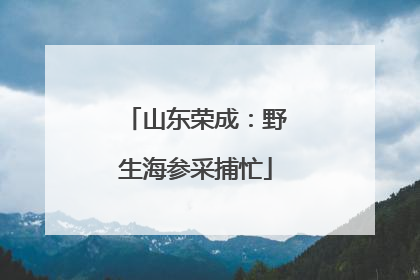 山东荣成：野生海参采捕忙