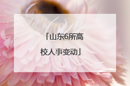 山东6所高校人事变动