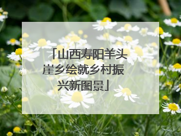 山西寿阳羊头崖乡绘就乡村振兴新图景