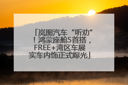 岚图汽车“听劝”！鸿蒙座舱5首搭，FREE+湾区车展实车内饰正式曝光