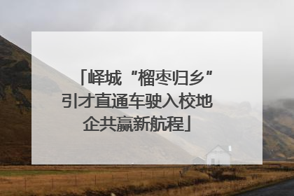 峄城“榴枣归乡”引才直通车驶入校地企共赢新航程