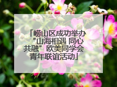 崂山区成功举办“山海相遇 同心共融”欧美同学会青年联谊活动