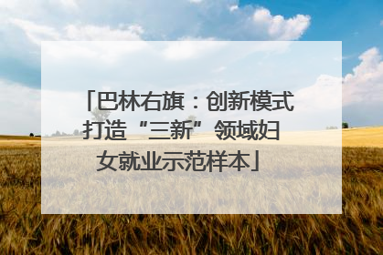 巴林右旗：创新模式 打造“三新”领域妇女就业示范样本