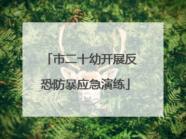 市二十幼开展反恐防暴应急演练