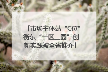 市场主体站“C位” 衡东“一区三园”创新实践被全省推介