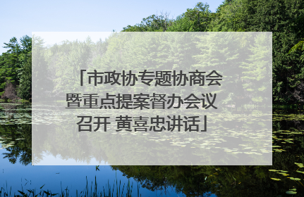 市政协专题协商会暨重点提案督办会议召开 黄喜忠讲话