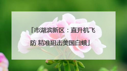 市湖滨新区：直升机飞防 精准狙击美国白蛾