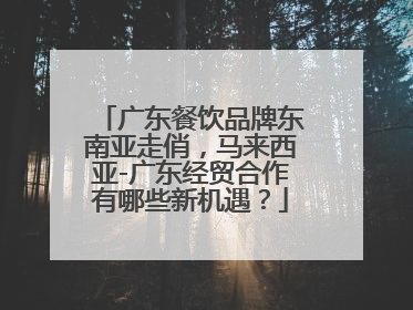 广东餐饮品牌东南亚走俏，马来西亚-广东经贸合作有哪些新机遇？